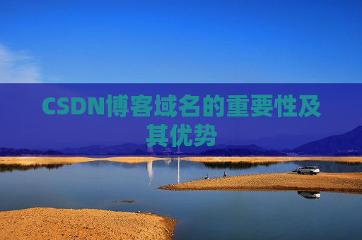 CSDN博客域名的重要性及其优势